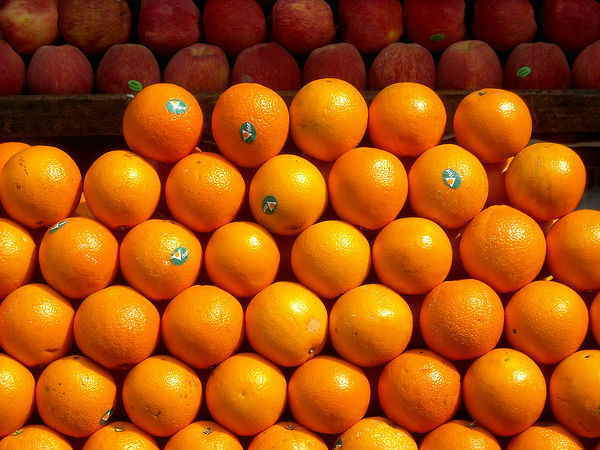 location-nagpur-oranges-image | HomieStore
